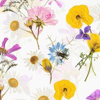 Wildflower Wallpaper - UtART