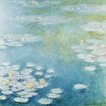 Water lillies - DeinDesign