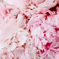 Pink Flowers - DeinDesign