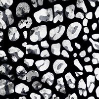 Monochrome leopard spots - Oana Soare