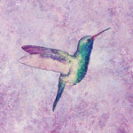 Hummingbirds in purple - Ancello