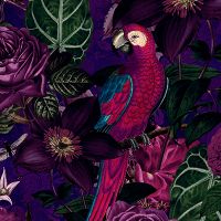Dark Jungle Bird - Andrea Haase