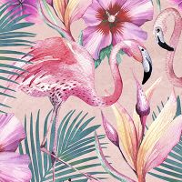 Flamingo Dreams - Andrea Haase