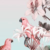 Pastel Parrots Paradise - Andrea Haase