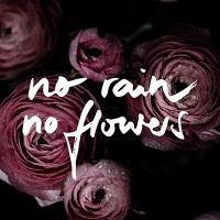No Rain No Flowers - Mareike Böhmer