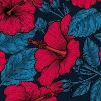 Red Hibiscus - Katerina Kirilova