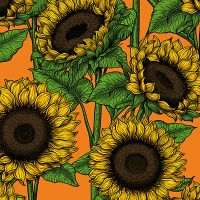 Sunflowers 2 - Katerina Kirilova