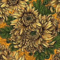 Yellow Chrysanthemum - Katerina Kirilova