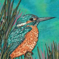 Kingfisher - Lotti Brown
