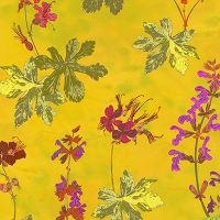 Yellow Geraniums - Lotti Brown