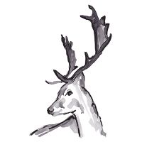 Deer drawing - Kruth Design