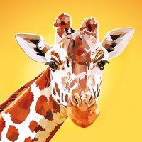 Giraffe Looking at You - Elvira Clement