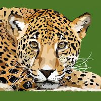 Leopard I Have My Eyes on You - Elvira Clement
