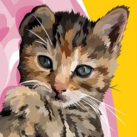 Little Sweet Kitten - Elvira Clement
