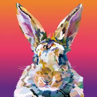 Rainbow Bunny - Elvira Clement