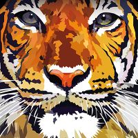 Tiger I Have my Eyes on You - Elvira Clement
