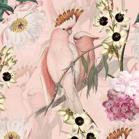 Pink Kakadu Wallpaper - UtART
