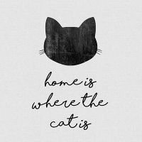 Home is Where the Cat is - Orara Studio