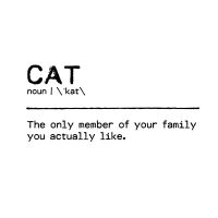 Quote Cat Family - Orara Studio