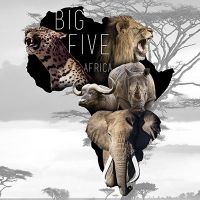 Big Five Africa Animals - Reinders!
