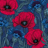 Poppies and Cornflowers on Blue - Katerina Kirilova