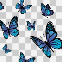 Butterfly Pattern Transparent - DeinDesign
