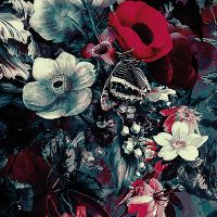 Dark Roses - Riza Peker