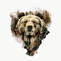 Grizzly bear - Riza Peker