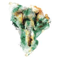 Elephant in Africa - Riza Peker