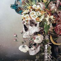 Floral Skull  - Riza Peker