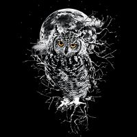 Owl in black/white - Riza Peker