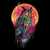 Owl VI - Riza Peker