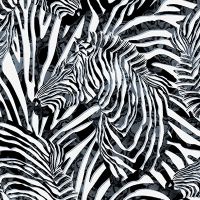 Zebra Zebra - Riza Peker