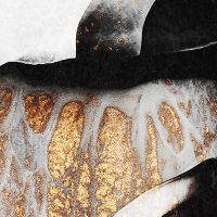 Schwarze und goldene Adern - Elisabeth Fredriksson