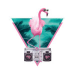 Miami Flamingo - Robert Farkas