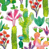 Succulent Cacti Plants Garden - Ninola Design