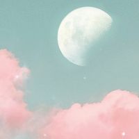 Pink Moonlight - cafelab - Emanuela Carratoni