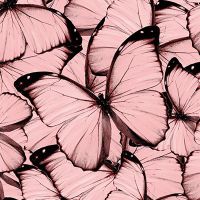 Pink Butterfly Pattern - cafelab - Emanuela Carratoni