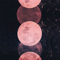 Pink Moon Phases - cafelab - Emanuela Carratoni