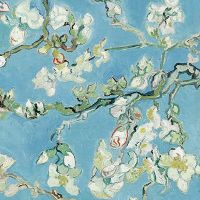 Mandelblüte von Vincent Van Gogh - Bridgeman Art