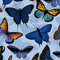 Blue Butterflies - UtART