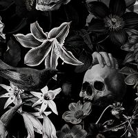 Totenköpfe und Blumen auf schwarzem Hintergrund - UtART