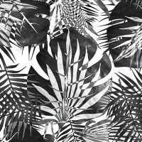 Monochrome Tropical Leaves - Oana Soare