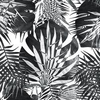 Monochrome tropische Blätter - Oana Soare