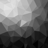 Polygonal Mosaic Schwarz/Weiß - DeinDesign