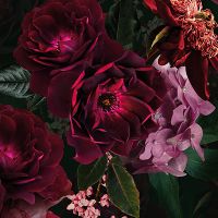 Dark Red and Pink Flowers - UtART
