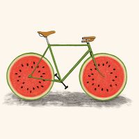 Melons bicycle - Florent Bodart