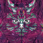 Mandala Cat  - Danny Ivan
