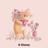 Winnie Pooh and Piglet Flowers - Disney Winnie Puuh