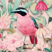 Pastel Bird - Andrea Haase